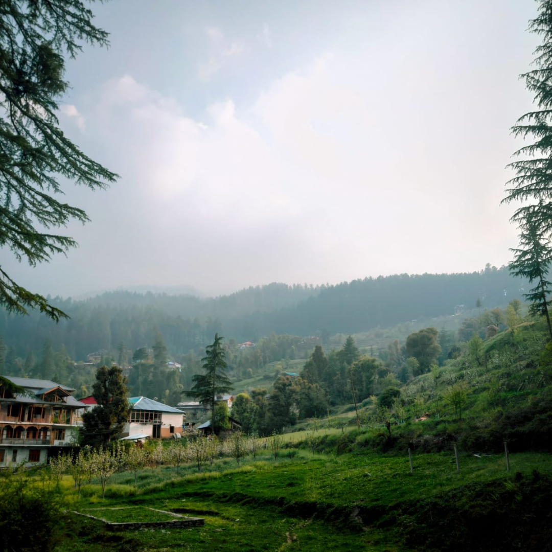 Tirthan Jibhi Shoja